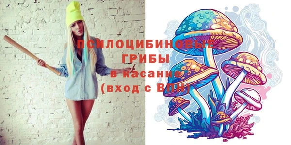 стафф Верхний Тагил