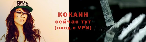 стафф Верхний Тагил