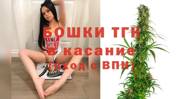 стафф Верхний Тагил